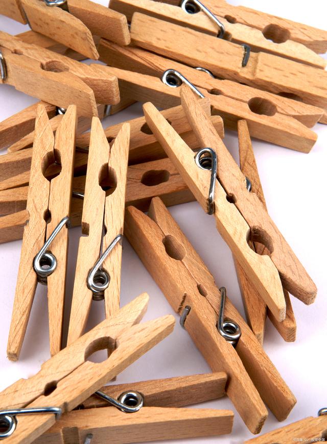 為什么木制品出口需要熏蒸？解析國際木材貿(mào)易的重要防疫措施